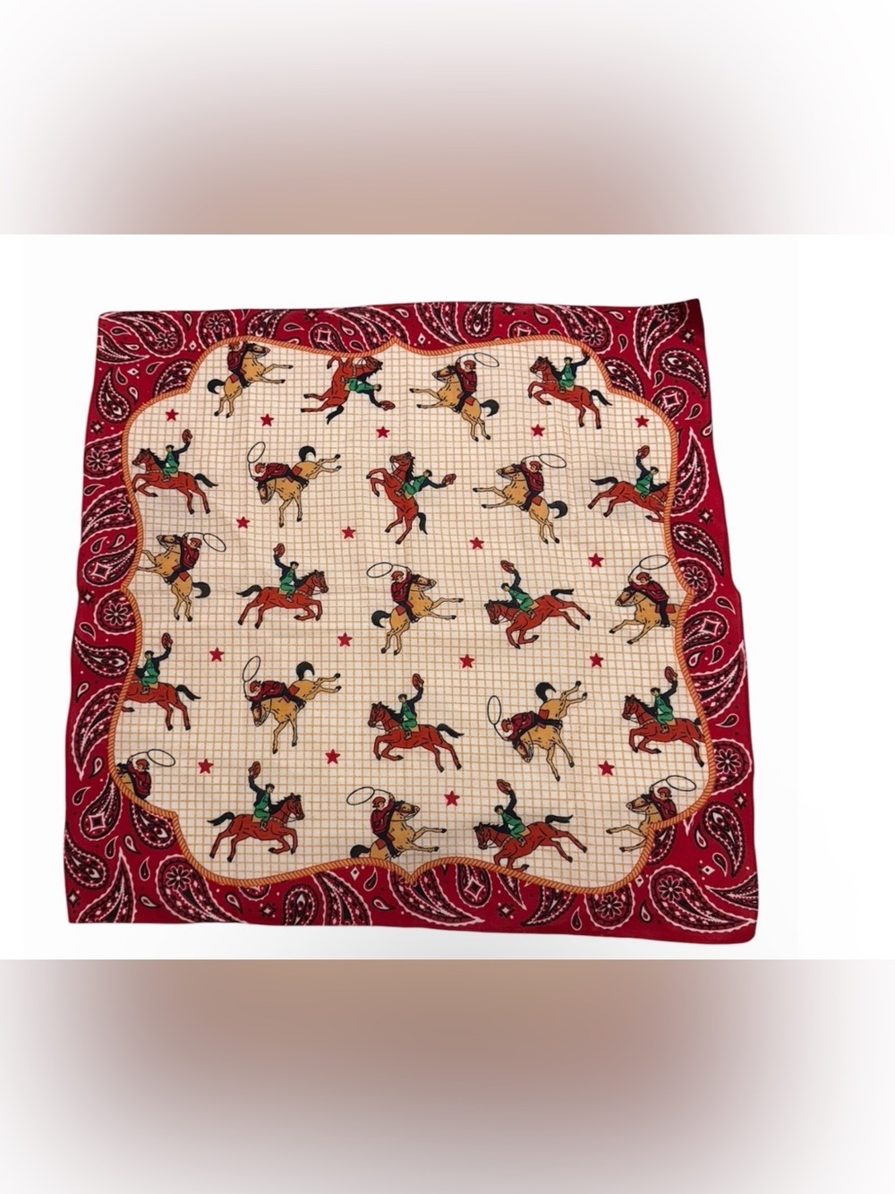 Vintage Western Rodeo Cowboy Red Bandana Paisley Grid Pattern Bandana Scarf